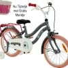 2Cycle Pretty Meisjesfiets - 16 Inch - Grijs-Roze - Meisjesfiets 1 2Cycle Pretty Meisjesfiets - 16 Inch - Grijs-Roze - Meisjesfiets -Extreem Snel Rijden 1200x1063 1