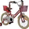 2Cycle Paris Meisjesfiets - 16 Inch - Roze-Wit - Met Poppenzitje - Meisjesfiets 2 2Cycle Paris Meisjesfiets - 16 Inch - Roze-Wit - Met Poppenzitje - Meisjesfiets -Extreem Snel Rijden 1200x1129 3