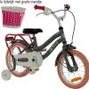 2Cycle Pretty Kinderfiets - 14 Inch - Grijs-Roze - Meisjesfiets 2 2Cycle Pretty Kinderfiets - 14 Inch - Grijs-Roze - Meisjesfiets -Extreem Snel Rijden 1200x1159 2