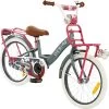 2Cycle Desire Kinderfiets - 18 Inch - Voordrager - Grijs - Meisjesfiets 1 2Cycle Desire Kinderfiets - 18 Inch - Voordrager - Grijs - Meisjesfiets -Extreem Snel Rijden 1200x1193 1