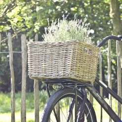 Rieten Fietsmand - 50×40×30cm - Fietsmand Rotan Van Vergrijsd Rotan – Groot - Het Mandenhuys