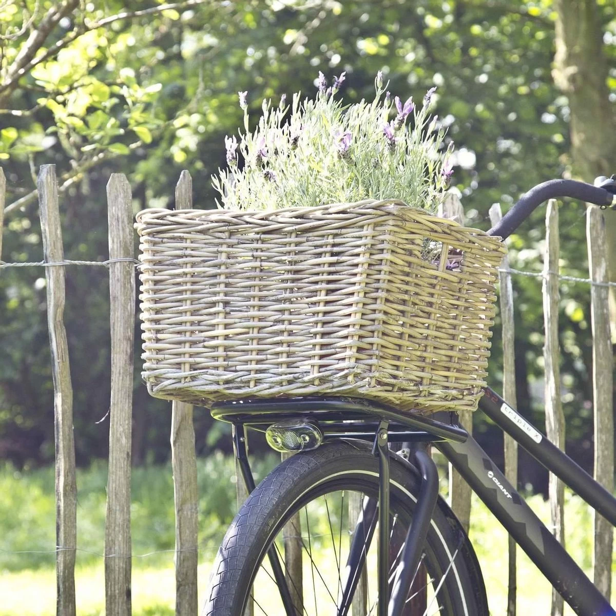 Rieten Fietsmand - 50×40×30cm - Fietsmand Rotan Van Vergrijsd Rotan – Groot - Het Mandenhuys 3 Rieten Fietsmand - 50×40×30cm - Fietsmand Rotan Van Vergrijsd Rotan – Groot - Het Mandenhuys