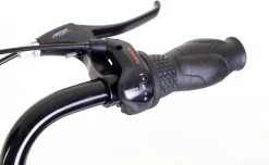 Amigo Bright - Damesfiets 28 Inch - Fiets Met 3 Versnellingen - Antraciet -Extreem Snel Rijden 1200x739 1