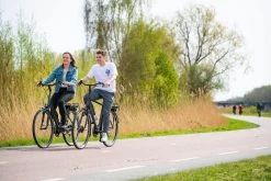 Amigo E-Vibe D1 - Elektrische Stadsfiets Voor Heren - Met 7 Versnellingen - Matgrijs 11 Amigo E-Vibe D1 - Elektrische Stadsfiets Voor Heren - Met 7 Versnellingen - Matgrijs -Extreem Snel Rijden 1200x800 20