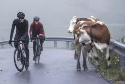 Rogelli Essential Winterjack - Fietsjack Heren - Zwart - Maat 2XL -Extreem Snel Rijden 1200x800 206