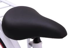 Amigo Sweetheart Meisjesfiets - Kinderfiets 20 Inch - Wit 31 Amigo Sweetheart Meisjesfiets - Kinderfiets 20 Inch - Wit -Extreem Snel Rijden 1200x813