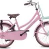 Valetta Cargo - Transportfiets - Meisjesfiets - 20 Inch - Mint Roze -Extreem Snel Rijden 1200x833 1