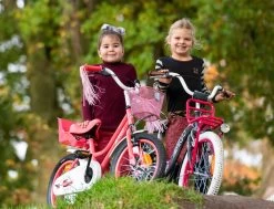 Amigo Magic Meisjesfiets - Kinderfiets 12 Inch - Wit -Extreem Snel Rijden 1200x917 15