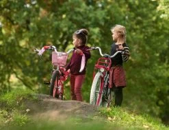 Amigo Bloom Meisjesfiets - Kinderfiets 20 Inch - Turquoise -Extreem Snel Rijden 1200x917 34