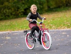 Amigo Bloom Meisjesfiets - Kinderfiets 20 Inch - Turquoise -Extreem Snel Rijden 1200x917 35