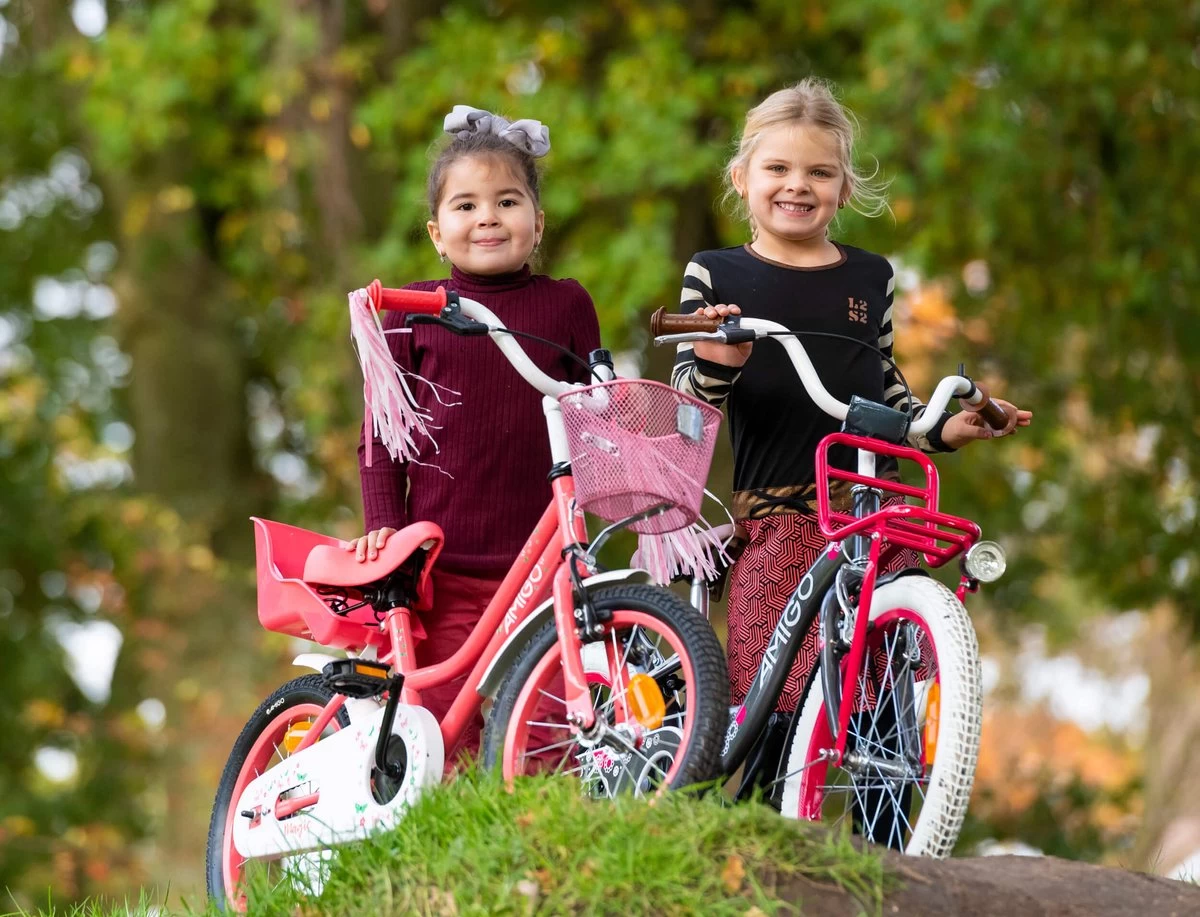 Amigo Magic Meisjesfiets - Kinderfiets 12 Inch - Roze 15 Amigo Magic Meisjesfiets - Kinderfiets 12 Inch - Roze - Afbeelding 13