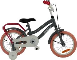 2Cycle Pretty Kinderfiets - 14 Inch - Grijs-Roze - Meisjesfiets -Extreem Snel Rijden 1200x931