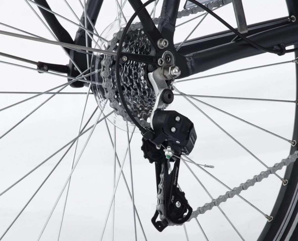 Amigo E-Vibe D1 - Elektrische Stadsfiets Voor Heren - Met 7 Versnellingen - Matgrijs 4 Amigo E-Vibe D1 - Elektrische Stadsfiets Voor Heren - Met 7 Versnellingen - Matgrijs - Afbeelding 2