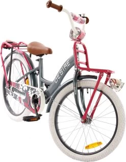 2Cycle Desire Kinderfiets - 20 Inch - Voordrager -Grijs-Roze - Meisjesfiets -Extreem Snel Rijden 938x1200
